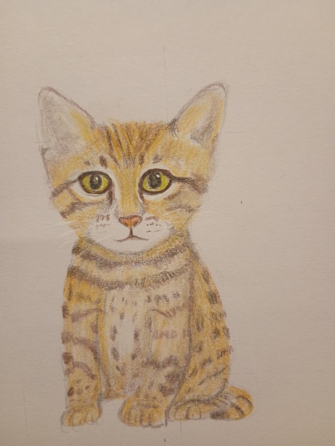 IMG_20250927_193448638_MFNR (1) (1).jpg