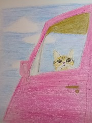 IMG_20251105_202342513_MFNR (1) (1).jpg