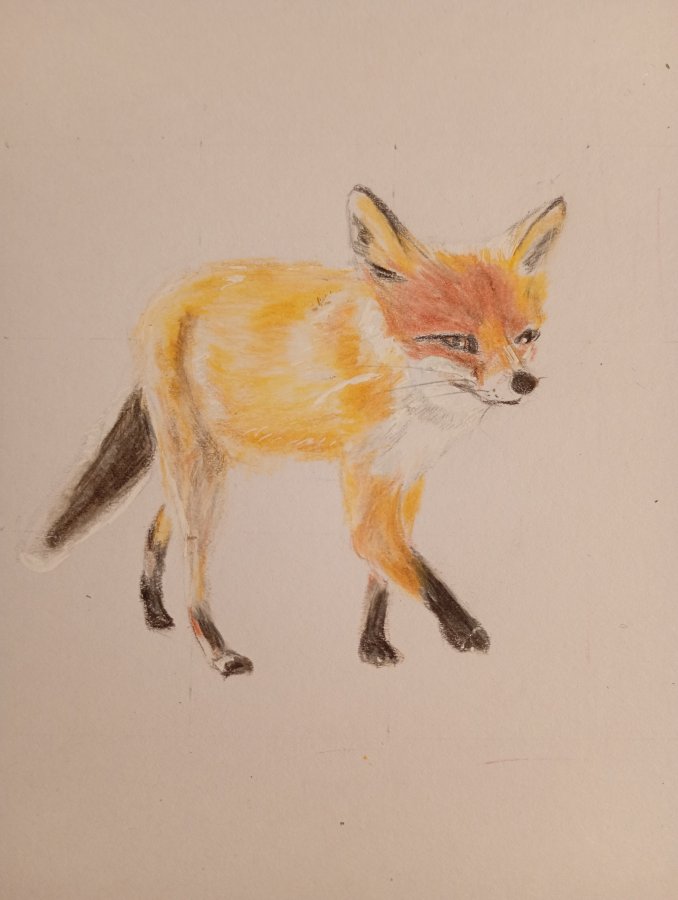 IMG_20251123_102900868_MFNR (1).jpg