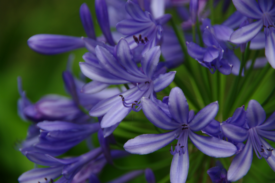 IMGP0395-sm.png