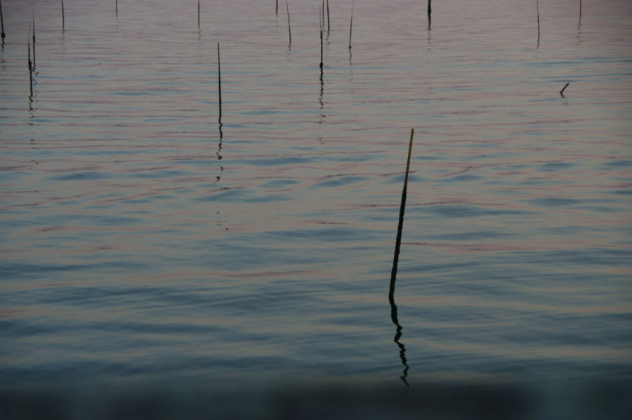 IMGP0560-sm.png