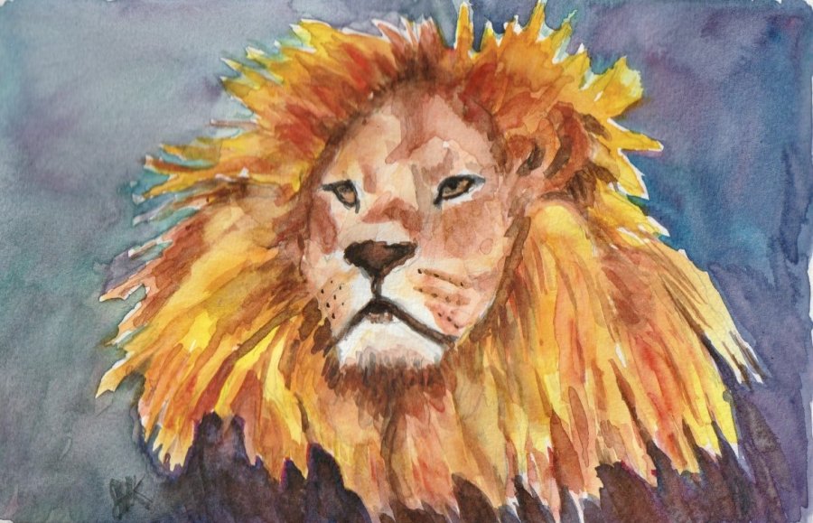 Lion.jpeg