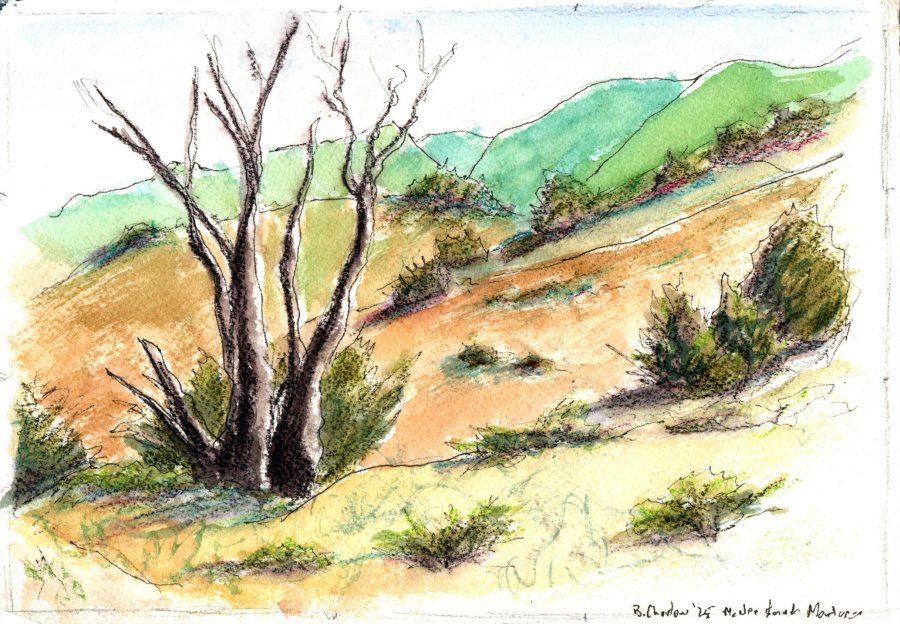 McNee Ranch WC 2025.jpg