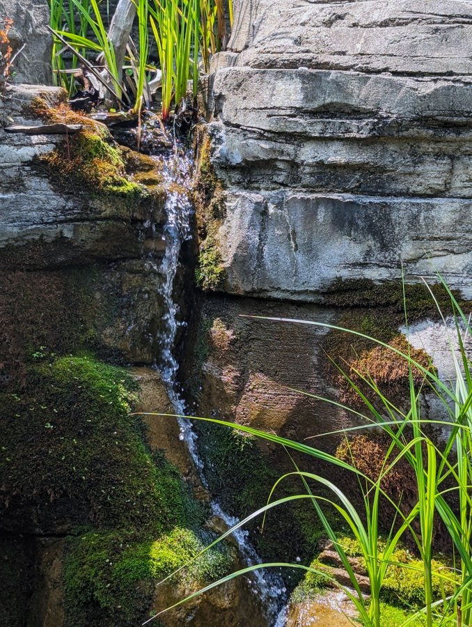 miniwaterfallPburghZoo.jpg