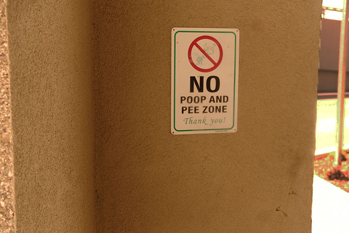 no.jpg