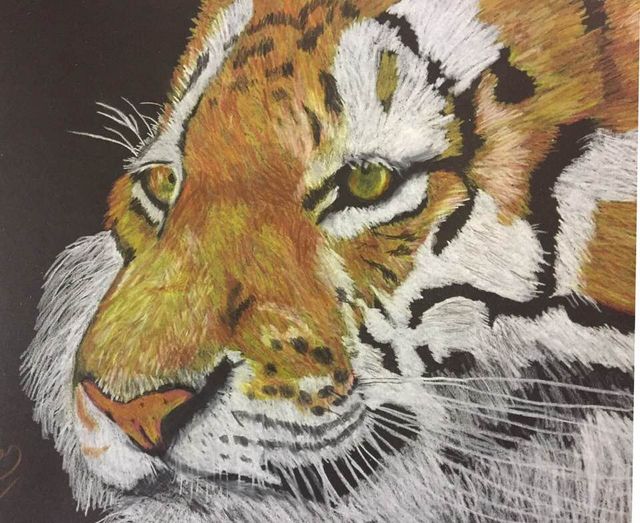 Oct. 2021 Tiger CP 9x12 Artagain black dp.jpg