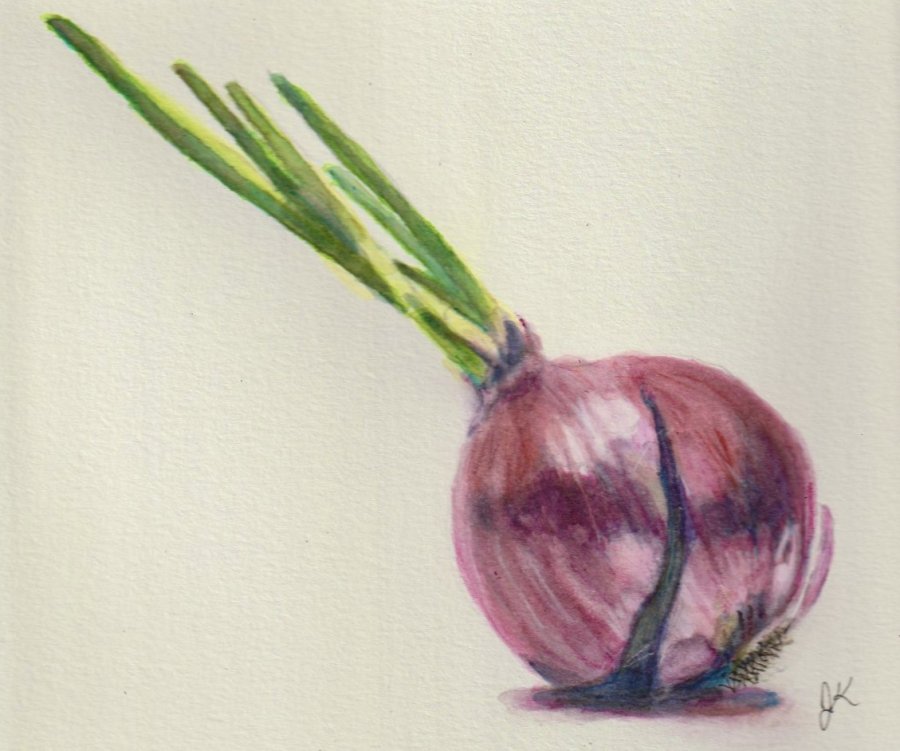 Onion.jpeg