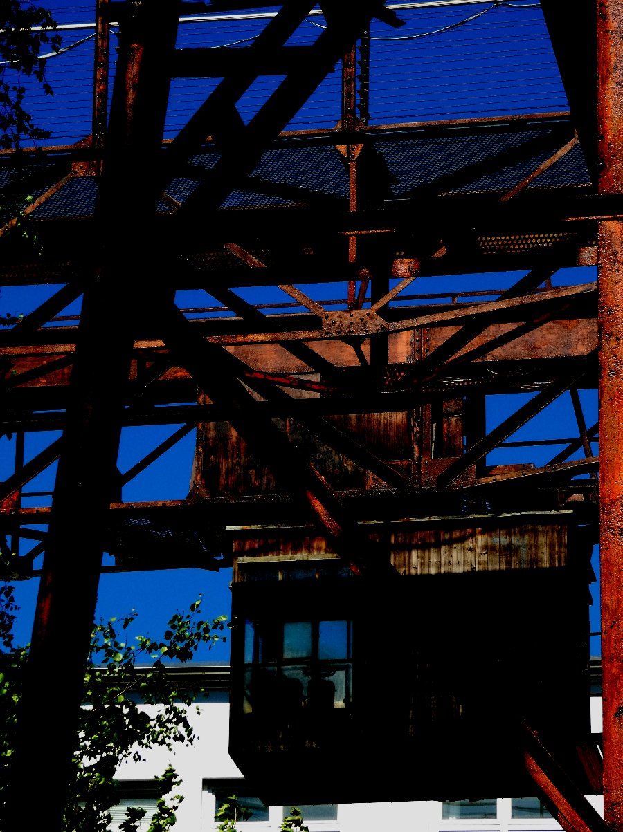 P1000856.jpg
