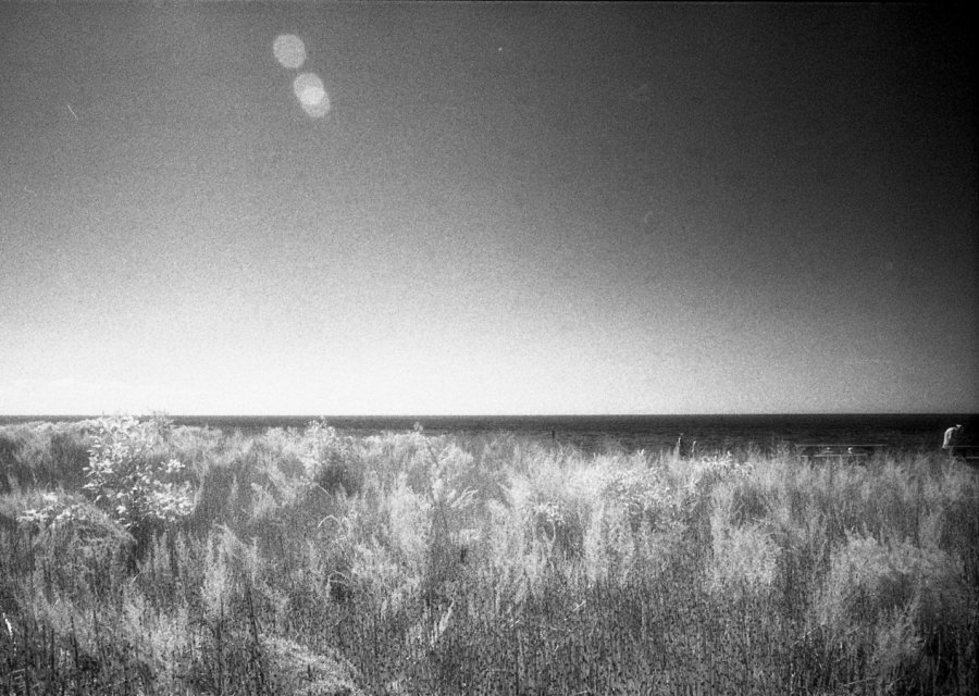 Point Pelee beach.jpg