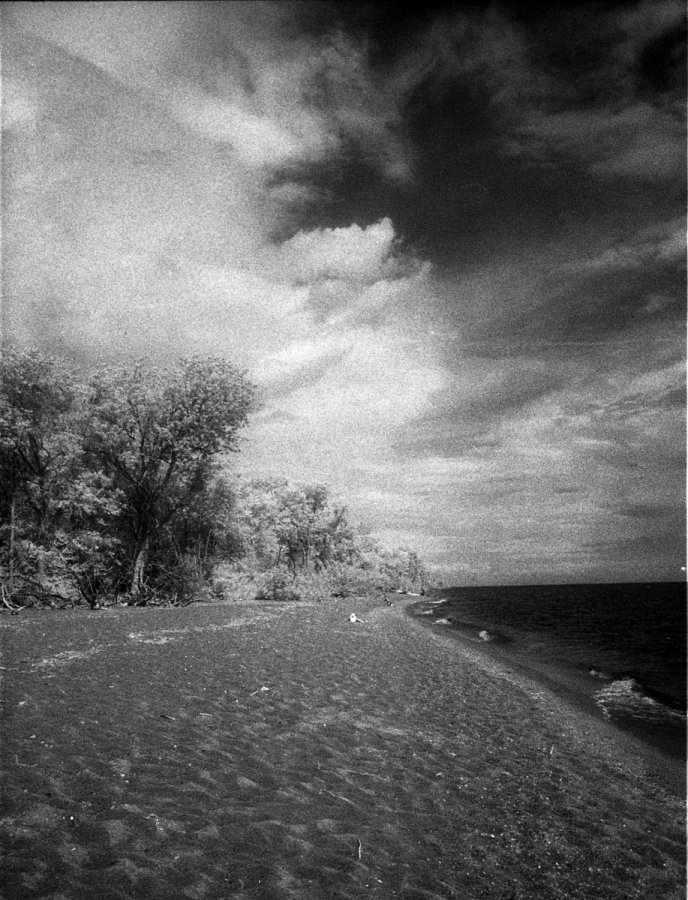 Point Pelee beach north view.jpg