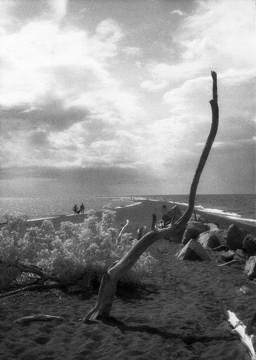 Point Pelee cropped.jpg