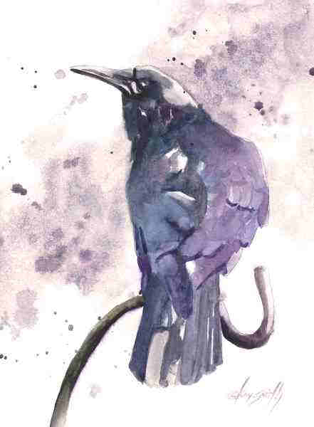 Proud Crow.jpg