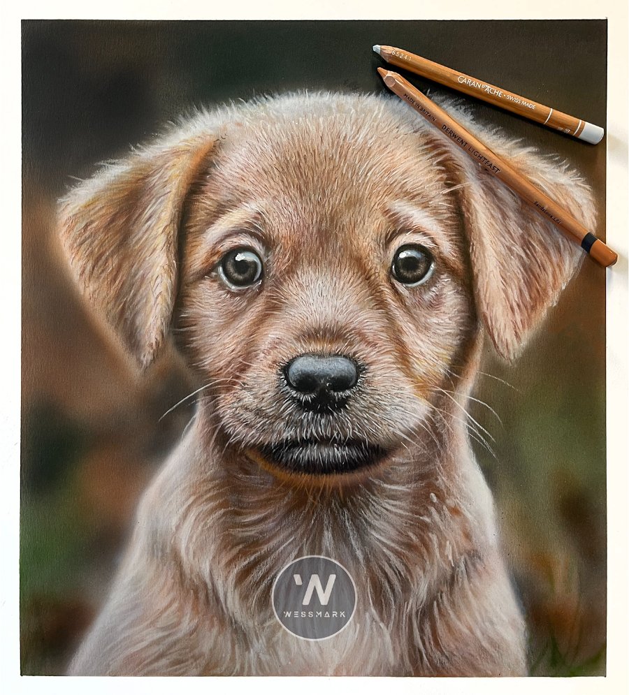 Puppy+pencil+logo.JPG