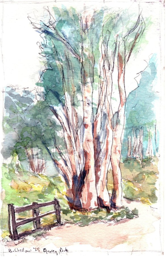 Quarry Park 25.jpg