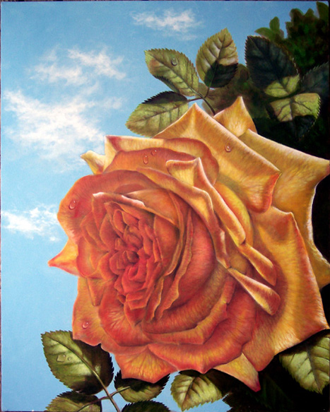 rosedone2.jpg