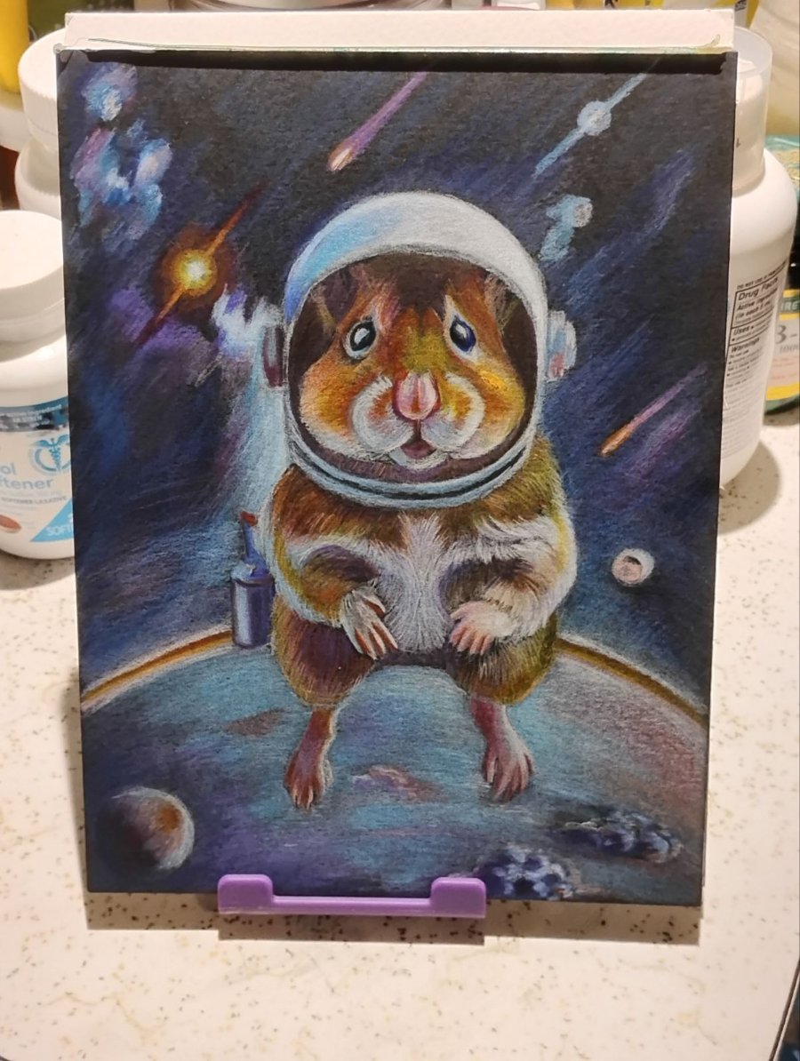 Space Hamster Sep 7 2025.jpeg