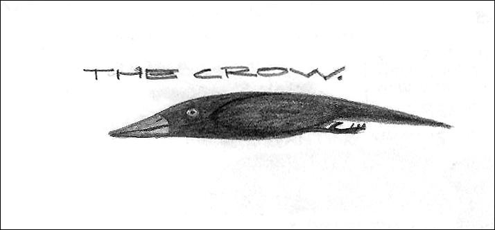 the crow.jpg