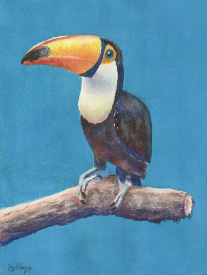 Toucan.jpeg